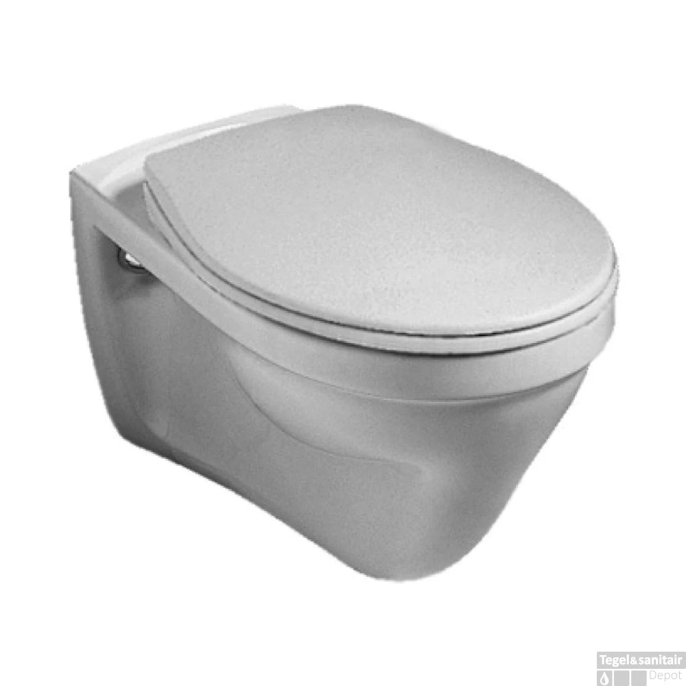 Grohe Rapid SL Toiletset Set17 Gustavsberg Saval Vlakspoel Met Grohe Arena Of Skate Drukplaat 2 Grohe Rapid SL Toiletset Set17 Gustavsberg Saval Vlakspoel Met Grohe Arena Of Skate Drukplaat - Afbeelding 2